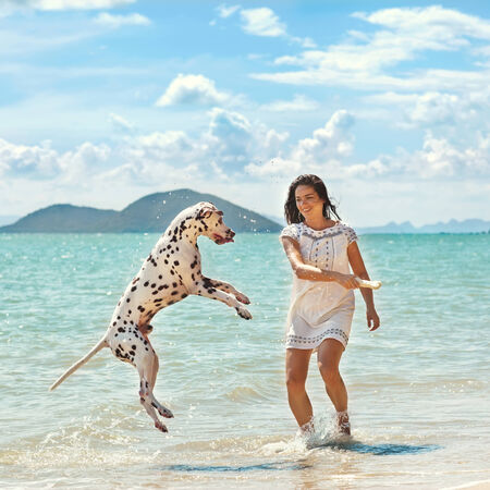 young girl with a dog walking on the seaの写真素材