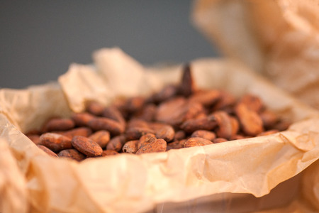 cocoa beans