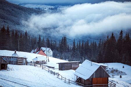 mountains in winter, Carpathians, Ukraineの写真素材