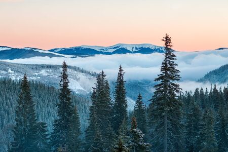 mountain tops in the snow, panorama of mountain slopes and hills at sunset