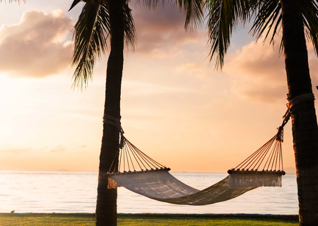 hammock on tropical palm trees overlooking the sea and sunsetの写真素材