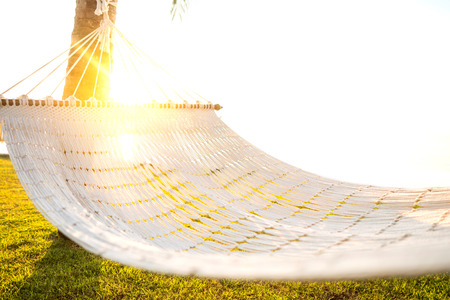 hammock on tropical palm trees overlooking the sea and sunsetの写真素材
