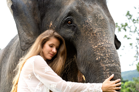 girl hugging an elephant in the jungleの写真素材