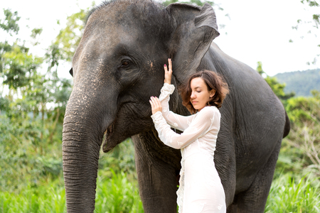 girl hugging an elephant in the jungleの写真素材