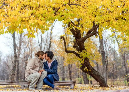 guy with an african girl in love in autumn park walk at sunsetの写真素材