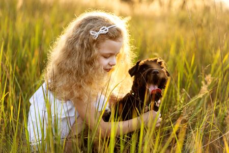 little girl with a dog plays in the park at sunsetの写真素材