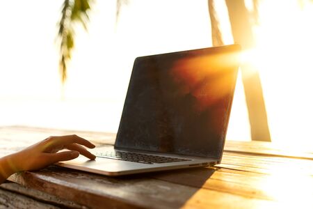 freelancer girl with a computer among tropical palm trees work on the islandの写真素材