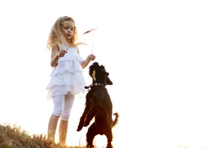 little girl with a dog plays in the park at sunsetの写真素材