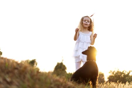 little girl with a dog plays in the park at sunsetの写真素材