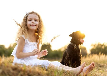little girl with a dog plays in the park at sunsetの写真素材