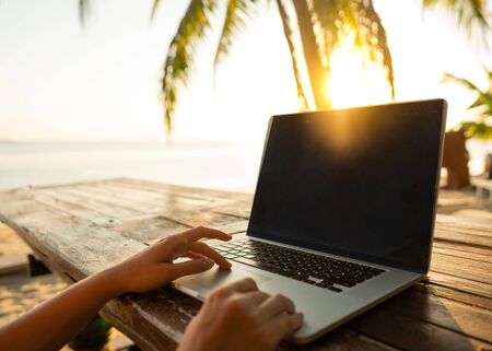 freelancer girl with a computer among tropical palm trees work on the island in sunsetの写真素材