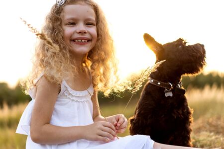 little girl with a dog plays in the park at sunsetの写真素材