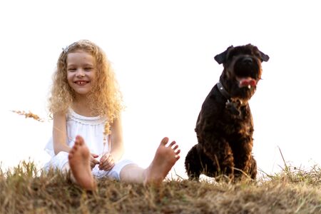 little girl with a dog plays in the park at sunsetの写真素材