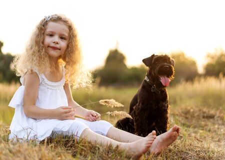 little girl with a dog plays in the park at sunsetの写真素材