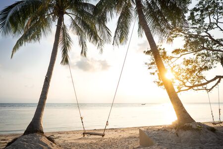 swing among tropical palm trees in Thailand at sunsetの写真素材