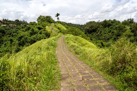 Campuhan Ridge Walk in Ubud in Baliの写真素材
