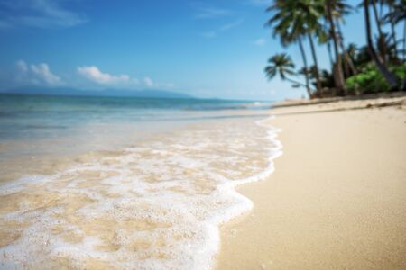 tropical beach of samui island in thailand with clear waterの写真素材