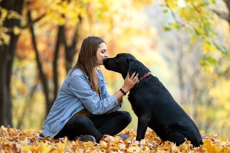 girl with dog labrodor in autumn park at sunsetの写真素材