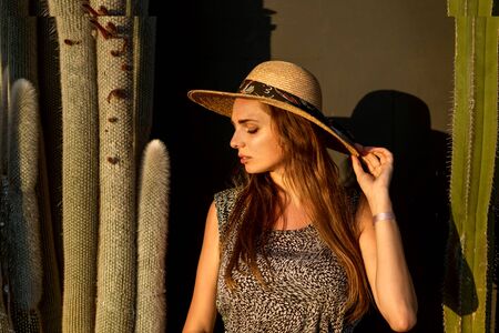 fashion girl among cacti in a hatの写真素材