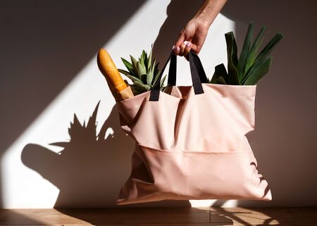 bag with products in the interior, delivery with youの写真素材