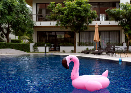 pink flamingo in a pool on a tropical island