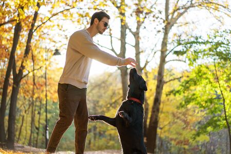 guy in sunglasses hugs his dog in autumn parkの写真素材