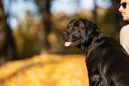 guy in sunglasses hugs his dog in autumn parkの写真素材