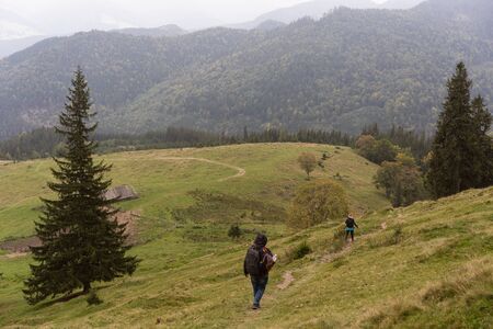 tourists go to the mountains on a trip to the Carpathiansの写真素材