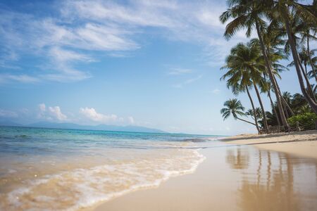 beach on a tropical island among palm trees in thailandの写真素材
