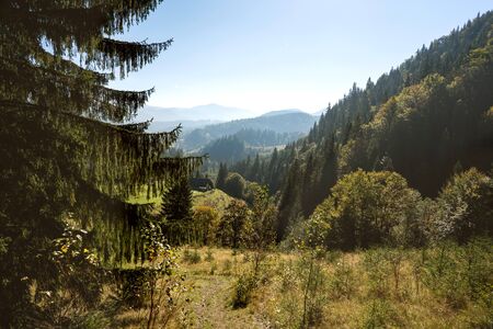 Beautiful mountain landscape of the Carpathians. Ecotourism.の写真素材