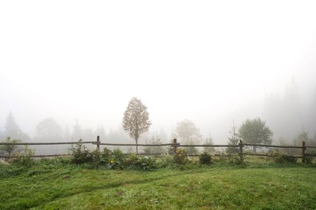 Beautiful mountain landscape in the fog of the Carpathians. Ecotourism.の写真素材