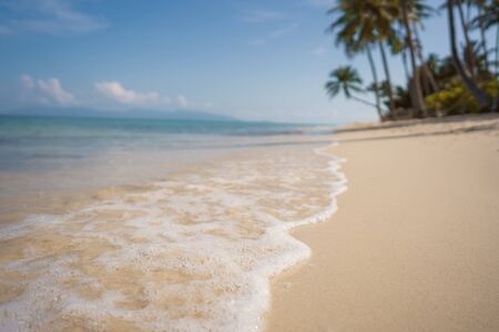 beach on a tropical island among palm trees in thailandの写真素材