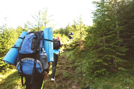 Hikers goes to the mountains on a sunset hike. Ecotourism.の写真素材