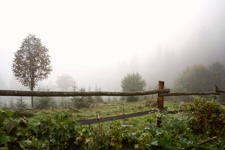 Beautiful mountain landscape in the fog of the Carpathians. Ecotourism.の写真素材