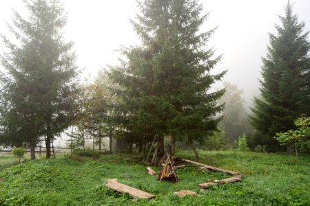 Beautiful mountain landscape in the fog of the Carpathians. Ecotourism.の写真素材