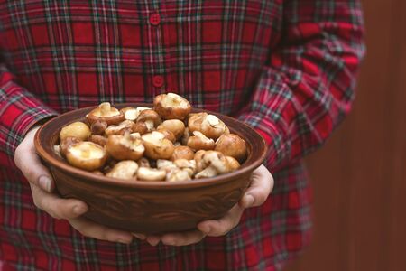 Mushroom Suillus in hands over Wooden Background. Spring Mushrooms. Suillus edulis over Wooden Dark Background, close up on wood rustic table. Cooking delicious organic mushroom. Gourmet foodの写真素材