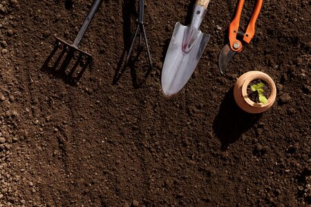 Gardening tools on fertile soil texture background seen from above, top view. Gardening or planting concept. Working in the spring garden.の写真素材