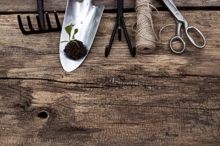 Gardening tools, rake, tourniquet, shovel and scissors on vintage wooden table. Spring in the garden concept background with free text space.の写真素材
