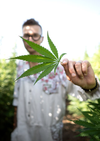 guy holding a cannabis leaf in his hand, posing on the cannabis field, marijuana legalization conceptの写真素材
