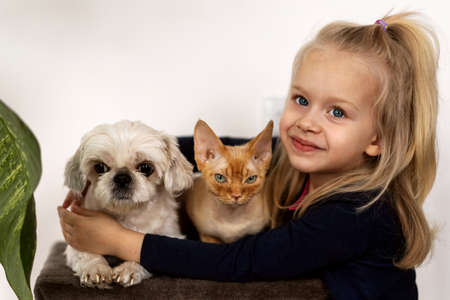 little girl playing with redhead cat and dog at home