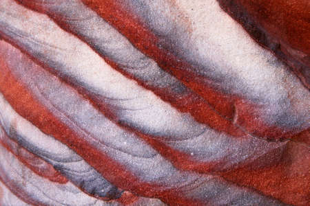 Beautiful rock pattern at Petra, Jordan の写真素材
