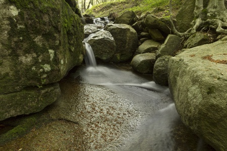 Forest river with a waterfall rocksの写真素材