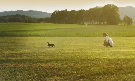 Young attractive girl with cat on natural background の写真素材