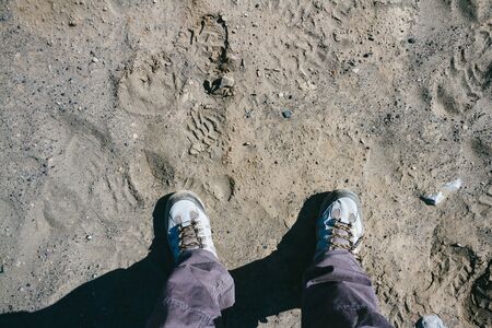 Walking on volcanic sand in Icelandの写真素材