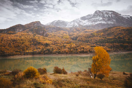 Autumnal forest on the shore of a mountain lakeの写真素材