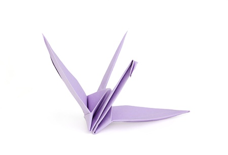 Purple origami bird.isolated on white backgroundの写真素材