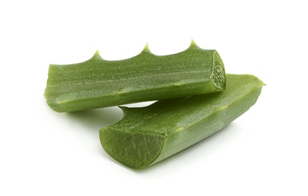 Aloe fresh leaf, isoleted on white background.の写真素材