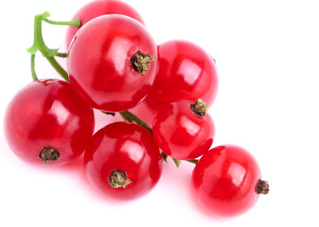 Branch of red currant on a white background