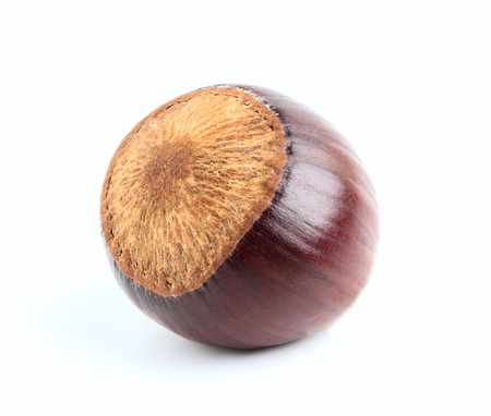 Dark hazelnut close-up on white background.の写真素材
