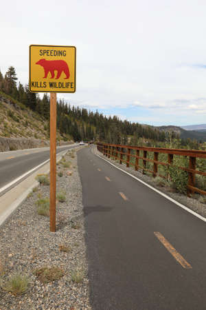 Speeding kills wildlife road signの写真素材